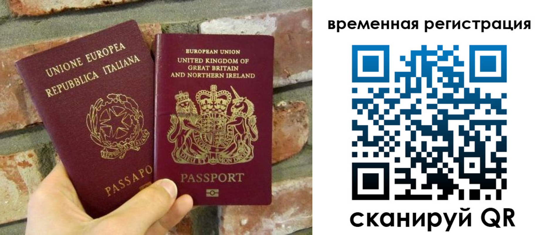прописка для школы в Талице